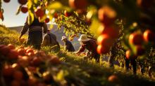 Workers on Farm